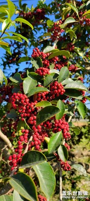 【難忘2021】+惠州旅行