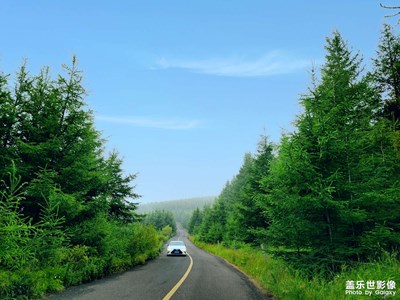 【難忘2021】+2021的點點滴滴