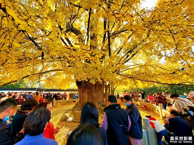 【難忘2021】+不同的色彩