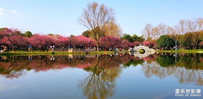 【難忘2021】＋南北足跡（一）