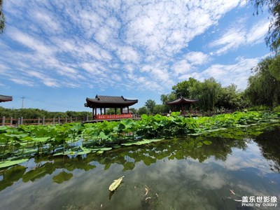 【難忘2021】夏日游園