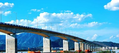 春困、夏倦、秋乏，冬眠，四季如夢