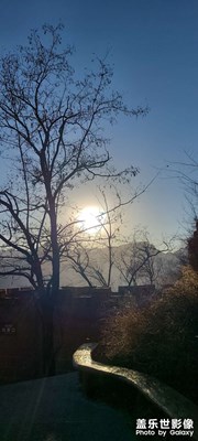 古藤老樹昏鴉，古道西風瘦馬