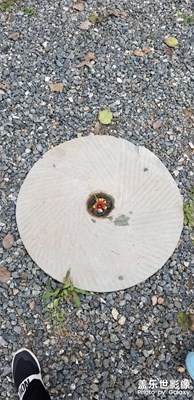 【印象】+朝來公園