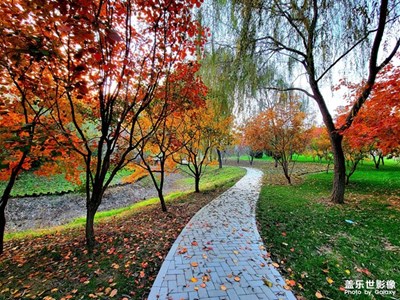 【印象】曲徑通幽