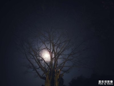 此時無聲勝了有聲