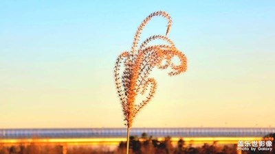 寒冬艷陽(yáng)天