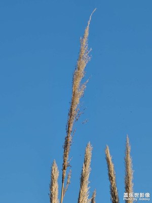 【印象】+生活百態(tài)