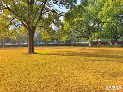 【光影瞬間】冬日暖陽(yáng)