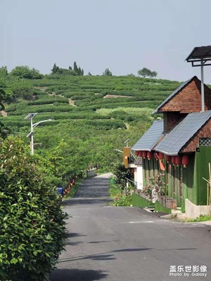 美麗鄉(xiāng)村