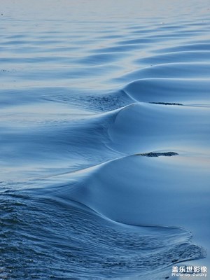 【難忘2021】之冬日暖陽(yáng) 人間煙火