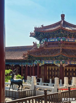 【難忘2021】+紅墻黃瓦