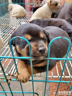 【你好2022】再見2021