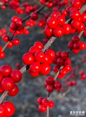 【你好2022】+點點暖燈