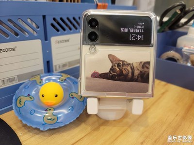 【難忘2021】貓與Flip3