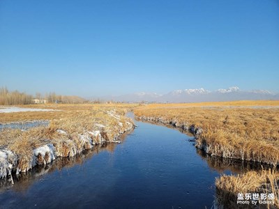 今日照片   達(dá)坂城冷水魚場(chǎng)