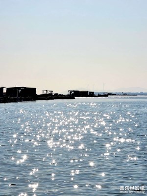 2021年最后的溫柔??