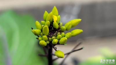 生活，隨手拍一拍。遠(yuǎn)處的樓層