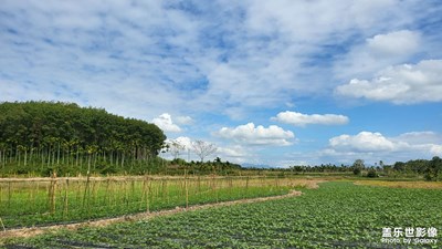 海南鄉(xiāng)村