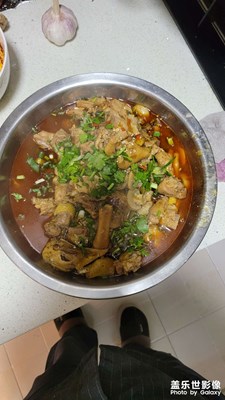 【新年隨拍】+2022順順利利！