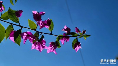 【新年隨拍】+新氣象