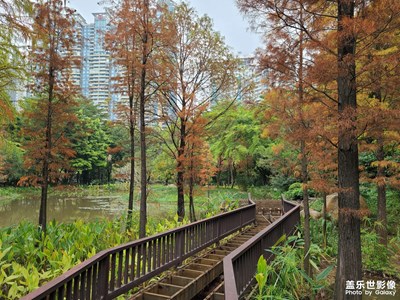 珠江公園——城市中的靜謐