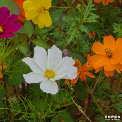 春天快到了！