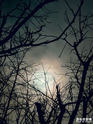 拍了個(gè)月亮??