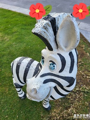 可愛的小斑馬