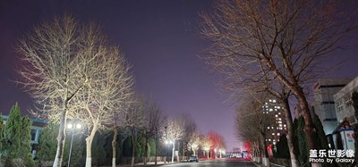 夜夜夜