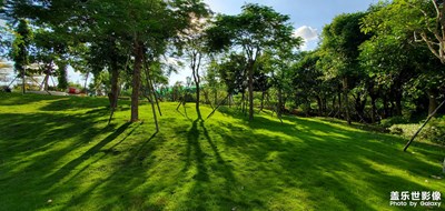 【發(fā)現(xiàn)之美】中山樹木園