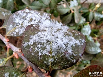 【發(fā)現(xiàn)之美】+雪