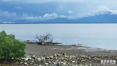 【發(fā)現(xiàn)之美】若是可以愛明天