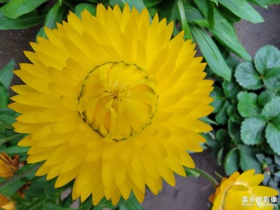 走過路過，拍才知道