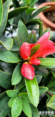 鄉(xiāng)村隨拍。。。