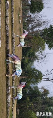 三郎國(guó)際度假區(qū)