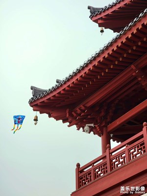 S21u三倍變焦拍攝