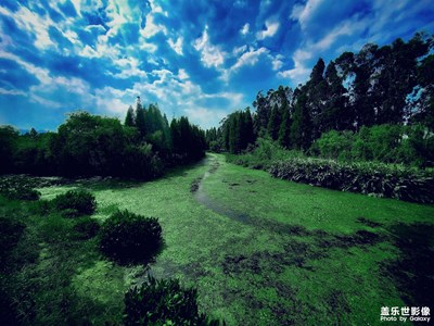 用三星Note10＋留住自然之美