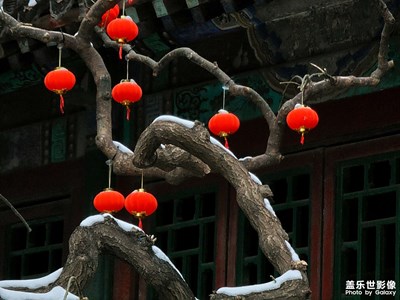 【中國年】點(diǎn)點(diǎn)紅燈籠