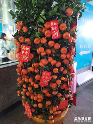 啥都不說，祝大家大吉大利。