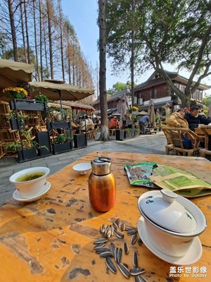 久違的冬日暖陽！