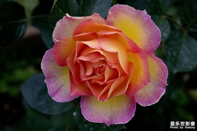 夢(mèng)幻般的風(fēng)景，旅游隨拍，歡迎評(píng)論