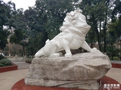 【家鄉(xiāng)年味】環(huán)城公園