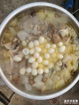 【中國年】+歡歡喜喜