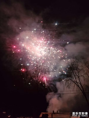 【新春色彩】美麗的煙花