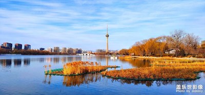 【足記】+玉淵潭公園