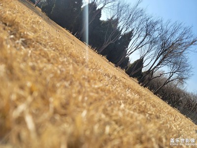 【足記】＋農(nóng)業(yè)生態(tài)園