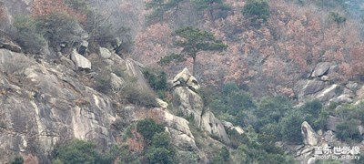 故鄉(xiāng)