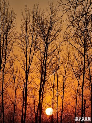 父愛如山 父子情深