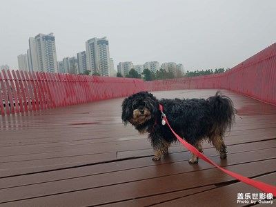 【足記】+城郊公園